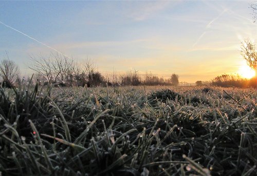 frozen  sunrise  drops