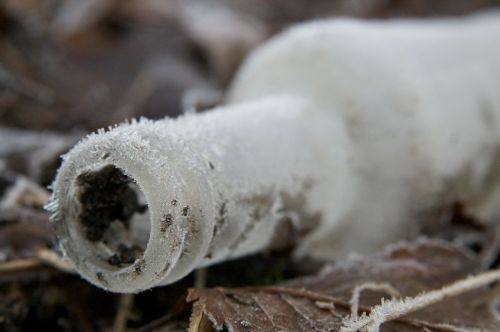 frozen bottle fallen