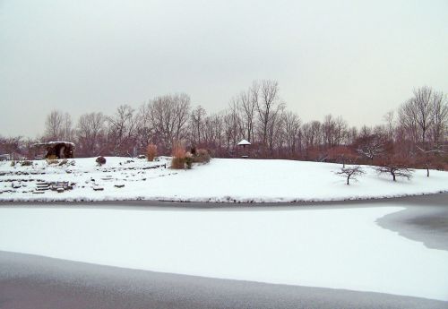 Frozen Pond