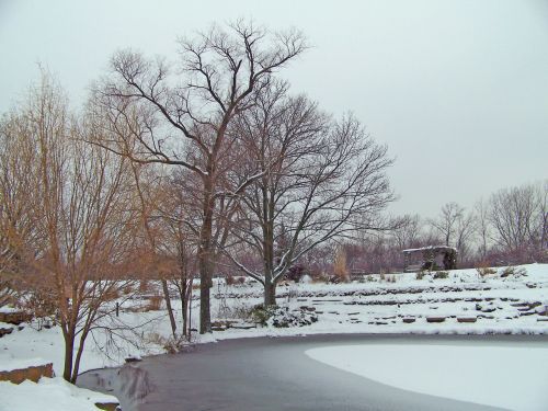 Frozen Pond