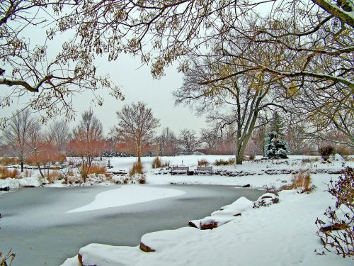 Frozen Pond