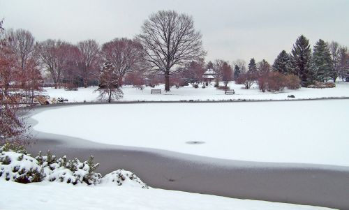 Frozen Pond