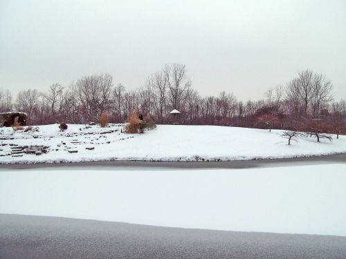 Frozen Pond