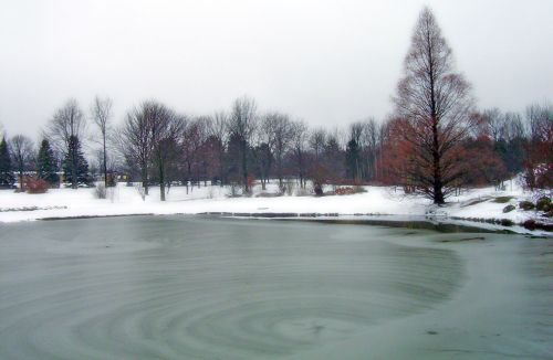 Frozen Pond In Park