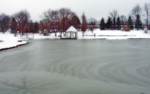 Frozen Pond In Park