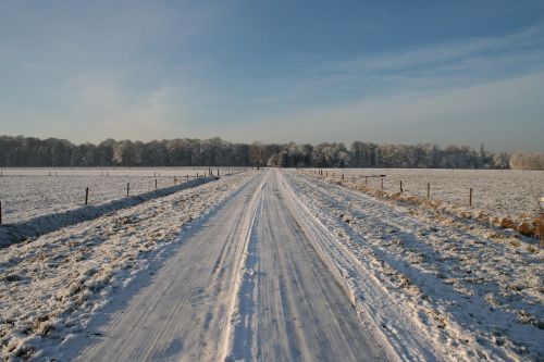 frozen road winter winter trees