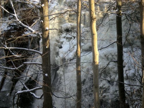 Frozen Waterfall Through Trees