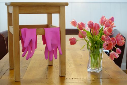frühjahrsputz plaster gloves pink