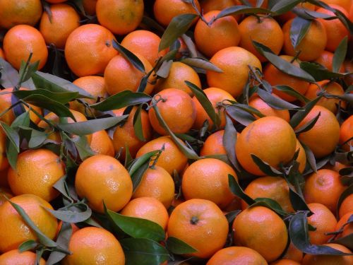 fruit mandarins orange