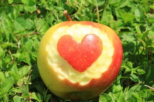 fruit apple heart