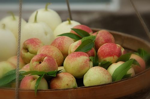 fruit apple nature