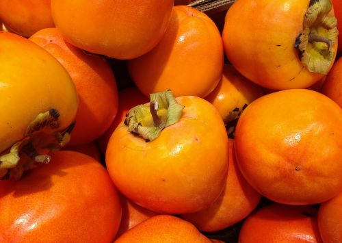 fruit persimmons fall