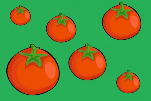 fruit food tomato
