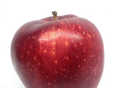 fruit apple red apple