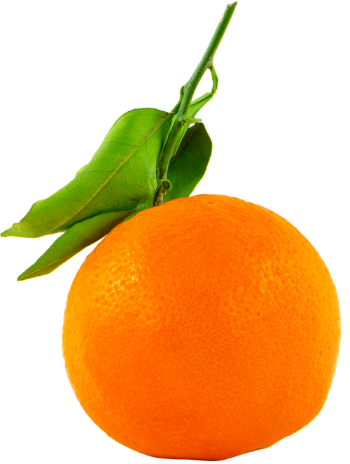 fruit orange transparent