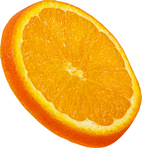 fruit orange slice