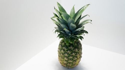 fruit pineapple fruits