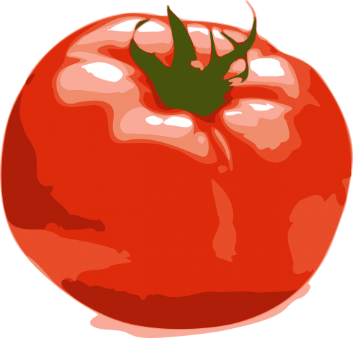 fruit red tomato