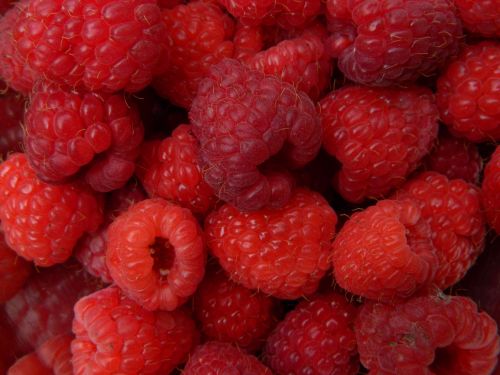 fruit raspberry red