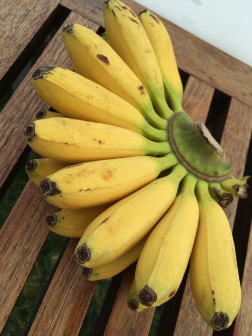 bananas yellow ripe