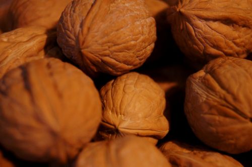 fruit walnuts nut