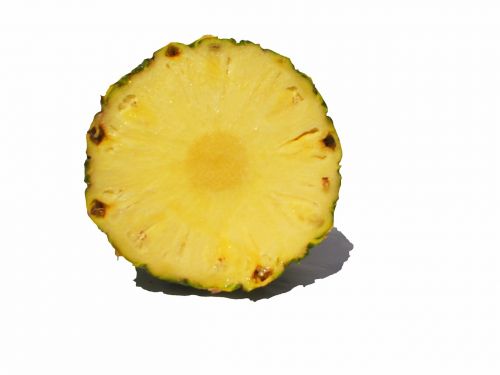 fruit pineapple cross section