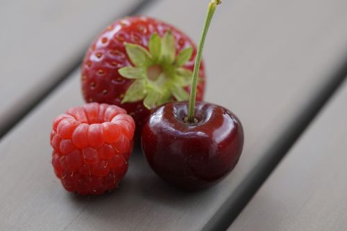 fruit berries red
