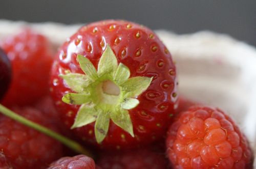 fruit berries red