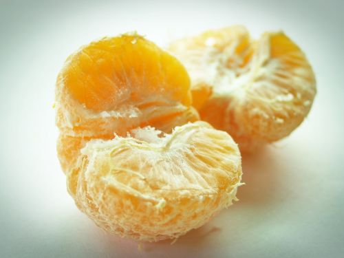 fruit citrus slice
