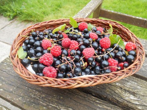 fruit basket raspberries