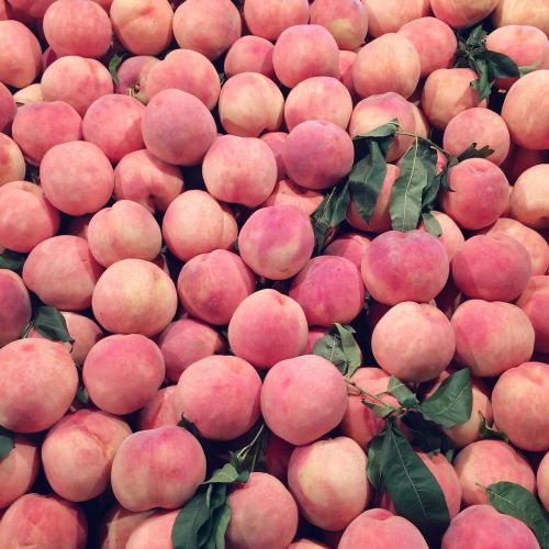 fruit peach pink