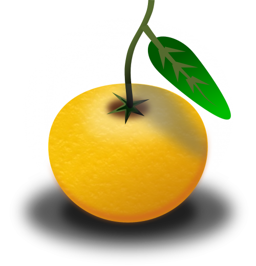 fruit juice orange