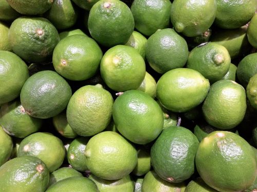 fruit lime oranges