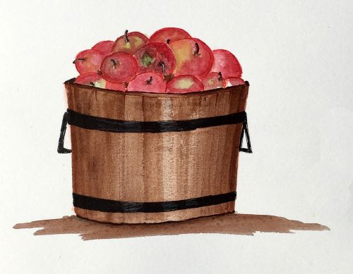 fruit apples barrel