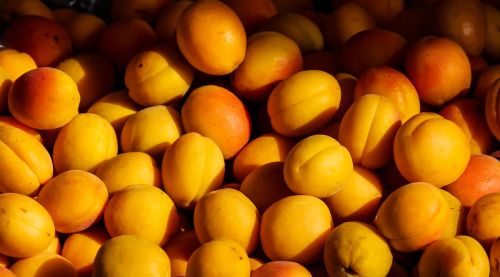 fruit apricot peaches