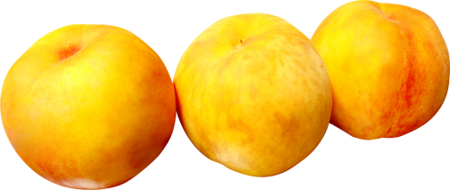 fruit peach the ecliptic