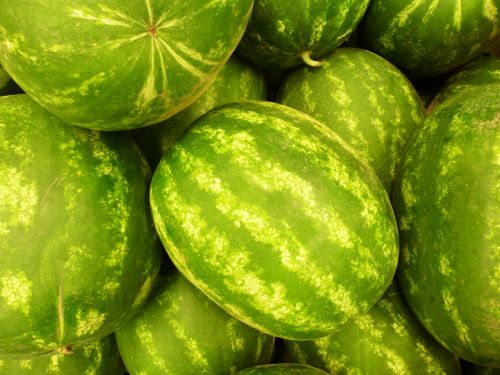 fruit green watermelon