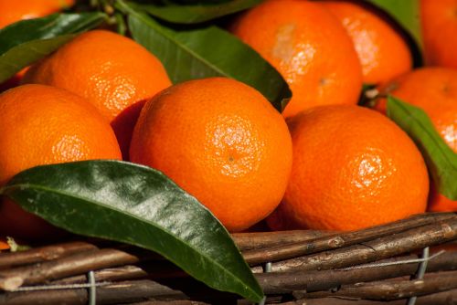fruit clementines citrus