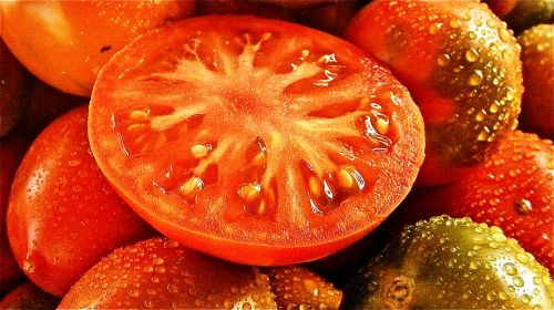 fruit tomato vegetable