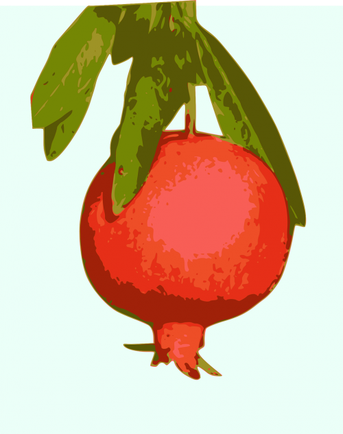 fruit haiku pomegranate