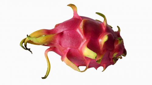 fruit exotic fruits dragon fruit