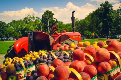 fruit food tractor