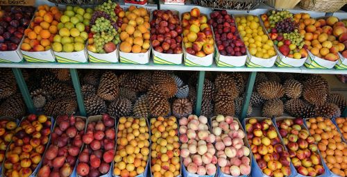 fruit fruit stand fruits