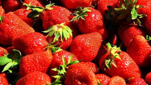 fruit strawberry red strawberries