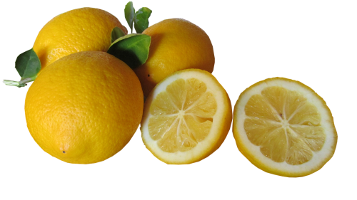 fruit lemons cut