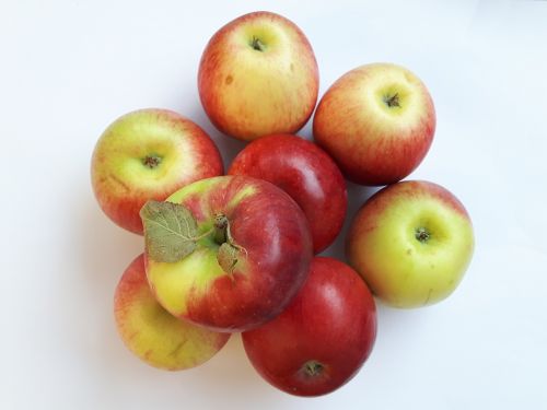 fruit apples red