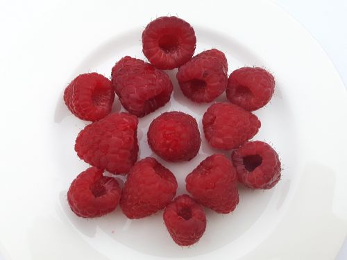 fruit raspberries eating