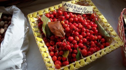 fruit basket eat