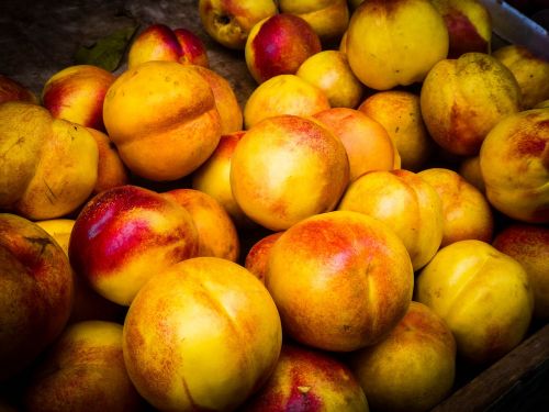 fruit nectarine food