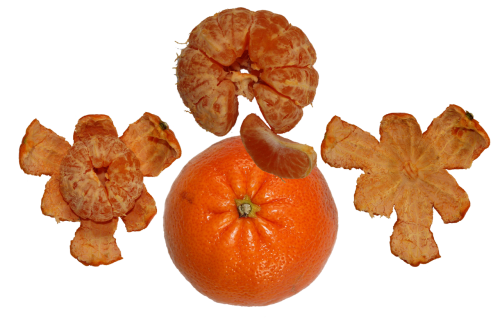 fruit tangerine orange